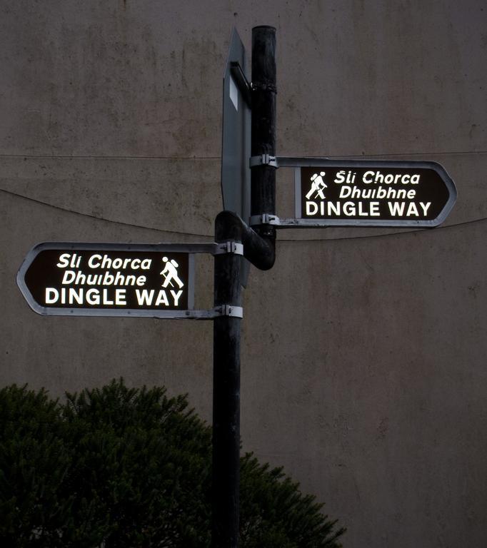The Dingle Pub Rooms Bagian luar foto